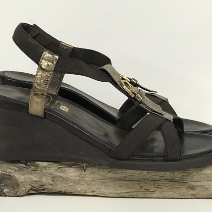 85118 Fiona  -  36,5 (G)  € 35,-