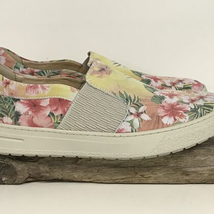 43462 Ananas  -  39  € 30,-