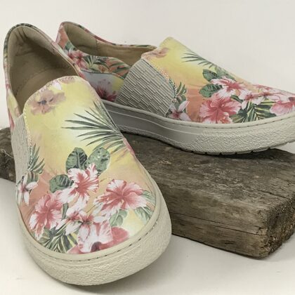 43462 Ananas  -  39  € 30,-